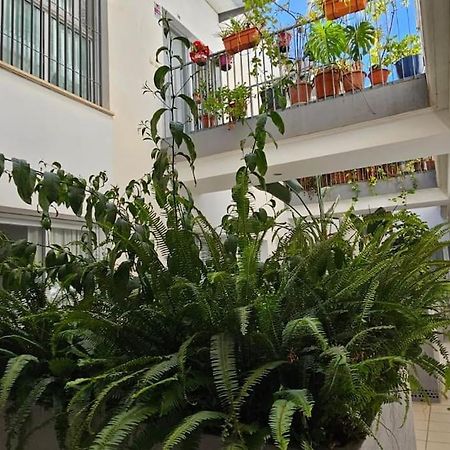 Suite Trinidad Centro Málaga Exterior foto